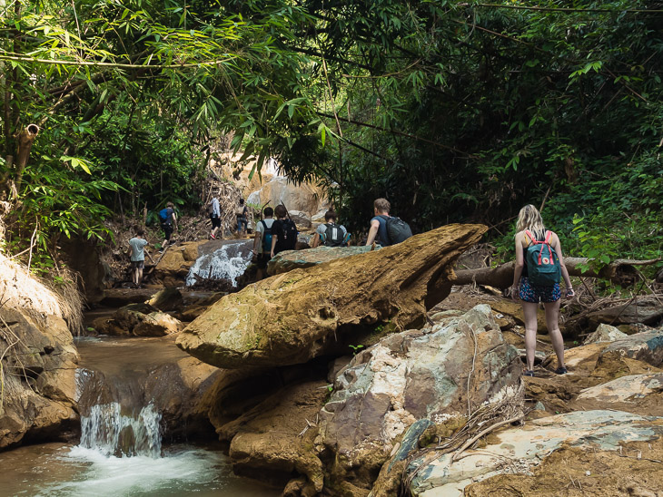Trekking In National Park at Phou Khao Khuay - 1 Day