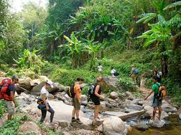 Luang Namtha Trekking in Nam Ha Rainforest - 1 Day